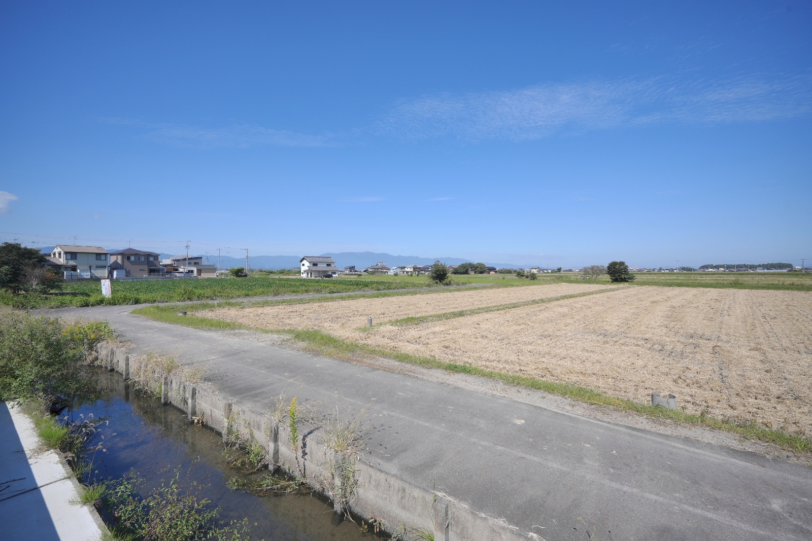 草津市下物町 写真5